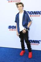 LOS ANGELES  JAN 25 - Hayden Haas at the Sonic The Hedgehog Family Day Event at the Paramount Theatre on January 25, 2020 in Los Angeles, CA photo