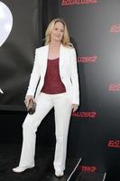 LOS ANGELES   JUL 17 - Melissa Leo at the  Equalizer  Premiere at the TCL Chinese Theater IMAX on July 17, 2018 in Los Angeles, CA photo
