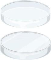 Glass petri dish on white background vector