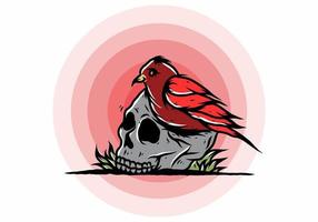 Bird nesting in skull illustration vector