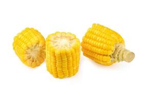 a piece of sweet corn isolated on a white background. photo