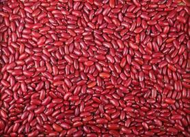 Close up Red beans seeds pattern as background photo