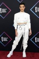 LOS ANGELES - NOV 11  James Charles at the Peoples Choice Awards 2018 at the Barker Hanger on November 11, 2018 in Santa Monica, CA photo