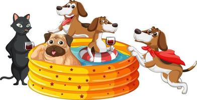 Group of domestic dogs in inflatable pool