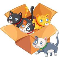 lindos gatos en la caja de cartón vector