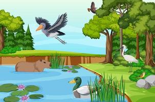 Various animals in the forest vector