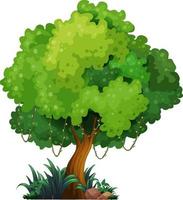 Big tree isolated cartoon vector