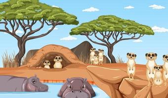 Dryland forest landscape with animals vector