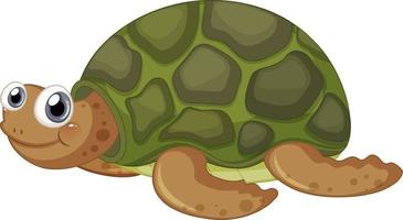 Cute turtle cartoon character on white background vector