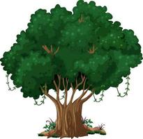 dibujos animados aislados de árbol grande vector