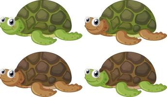 lindo personaje de dibujos animados de tortuga sobre fondo blanco vector