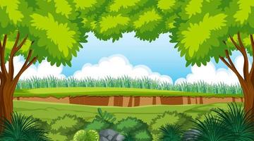 Empty forest environment background vector