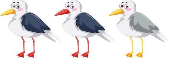 Three seagull birds in cartoon style vector