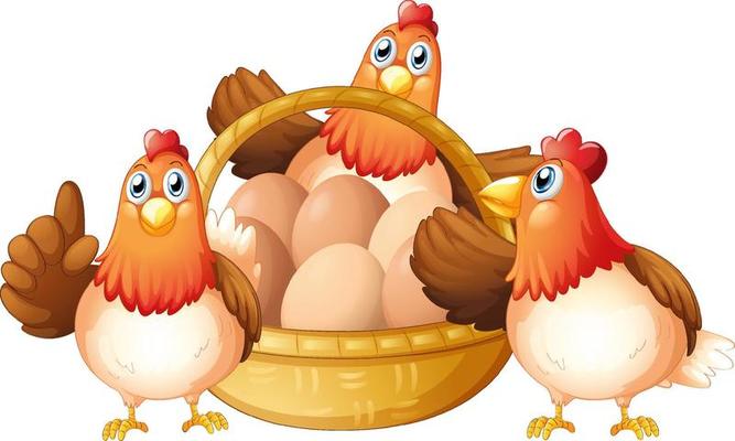 Chickens and eggs in basket