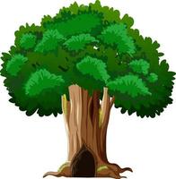 dibujos animados aislados de árbol grande vector