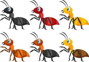 conjunto de diferentes hormigas aisladas vector