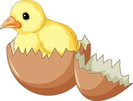 A chick in hatching egg vector