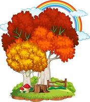 Autumn tree in nature with rainbow in the sky vector