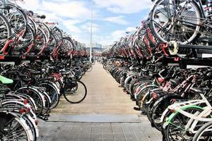 una vista de algunas bicicletas estacionadas en amsterdam foto