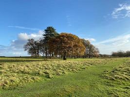 A view of the Cheshire Countryside near Knutsford photo