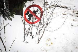 No hay señal de perro cuadrado de zona de orina con círculo cruzado rojo sobre fondo de césped de nieve en invierno foto