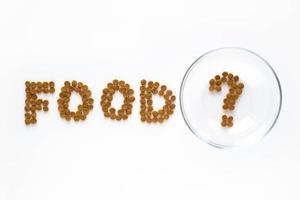 Word FOOD and question sign made of dry cat or dog food with empty bowl. Pet care and veterinary concept with letters on white background photo