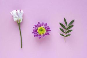 Pink-white flowers and leaves on pink pastel background. Valentine Day, Mothers day, birthday, spring concept. Minimalistic floral background in flat lay style, top view photo