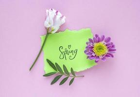 Pink-white flower with word SPRING on pink pastel background. Valentine Day, Mothers day, birthday, spring concept. Minimalistic floral background in flat lay style, top view photo
