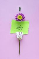 Pink-white flower with word SPRING on pink pastel background. Valentine Day, Mothers day, birthday, spring concept. Minimalistic floral background in flat lay style, top view. photo