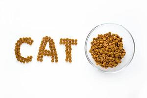 signo de gato de palabra hecho de comida seca con tazón lleno. cuidado de mascotas y concepto veterinario con letras sobre fondo blanco foto