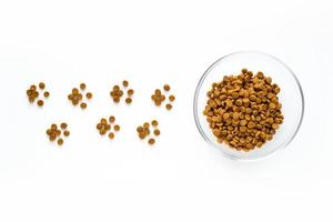 Paw sign made of dry cat or dog food with full bowl. Pet care and veterinary concept with letters on white background photo
