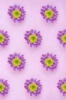 Lilac flower pattern on pink pastel background. Minimalistic floral background in flat lay style, top view. Valentine Day, Mothers day, birthday, spring concept photo