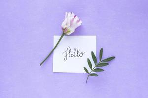 Pink-white flower with word HELLO on pink pastel background. Valentine Day, Mothers day, birthday, spring concept. Minimalistic floral background in flat lay style, top view photo