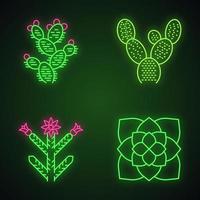 Desert plants neon light icons set. Exotic flora. Bunny ear cactus, prickly pear, cholla, ghost plant. American succulents. Glowing signs. Vector isolated illustrations