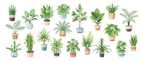 Set of flowers in pots isolated on white background in flat style. Vector illustration