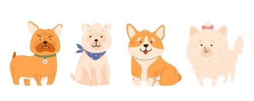 Fluffy shaggy little dogs breed pomeranian, pug, bulldog, corgi collection. Cartoon animal puppy set. Isolated vector illustration for t shirt print, game, textile, pet icons, kids design.