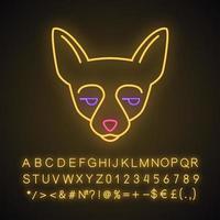 chihuahua lindo personaje de luz de neón kawaii. perro con hocico sin diversión. animal con ojos mirando hacia un lado. emoji divertido, emoticono. icono brillante con alfabeto, número, símbolos. ilustración vectorial aislada vector