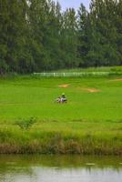 Driving in the green fields behind the mountains with bright blue skies. photo