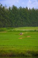 Driving in the green fields behind the mountains with bright blue skies. photo