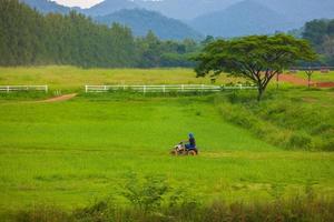 Driving in the green fields behind the mountains with bright blue skies. photo