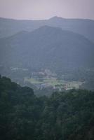 hermosa naturaleza, cielo, árboles, ambiente nocturno en el parque nacional khao yai, tailandia foto