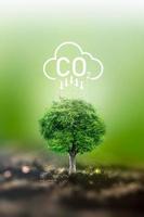 negocios sostenibles con el planeta a través de energías renovables y emisiones de co2 verde, por lo que el uso de energías renovables puede limitar el cambio climático y el calentamiento global. foto