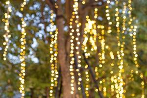 Decorative outdoor string lights hanging on tree in the garden at night time photo