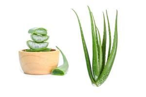 la planta de aloe vera corta productos para bebidas, cosméticos y hierbas para el cuidado de la salud sobre fondo blanco. foto