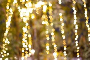 Decorative outdoor string lights hanging on tree in the garden at night time photo