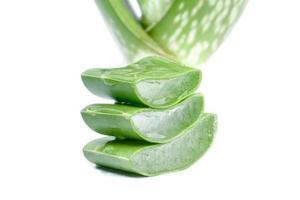 the plant Aloe vera slices fresh with isolated background photo