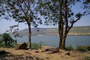 árbol en el borde de la presa de agua azul foto