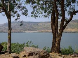 tree on blue water dam border photo