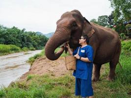 happy Asian man feeding sugar cane into mouth of Elephant in tropical green forest near river at sanctuary in Chiang Mai Thailand. mature adult in Thai Northern traditional cloths. photo