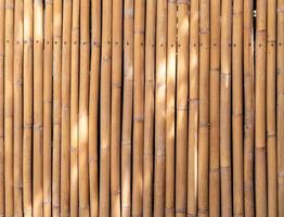 large image of yellow bamboo poles wall, natural light spot on bamboo fence texture backdrop photo